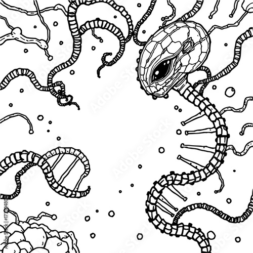 Minimilist detailed line art depiction of a bacteriophage virus with dna and other biological elements present vector