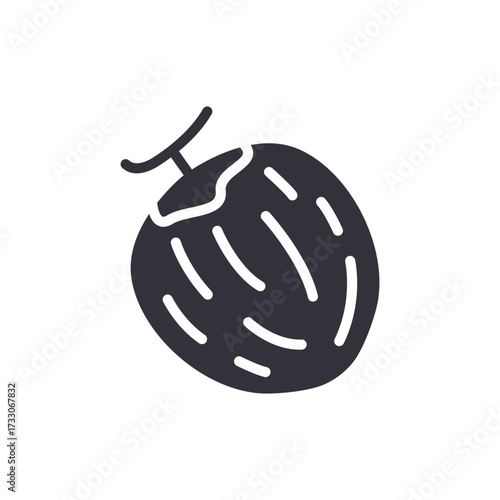Stylized Coconut Illustration Tropical Fruit Freshness Concept