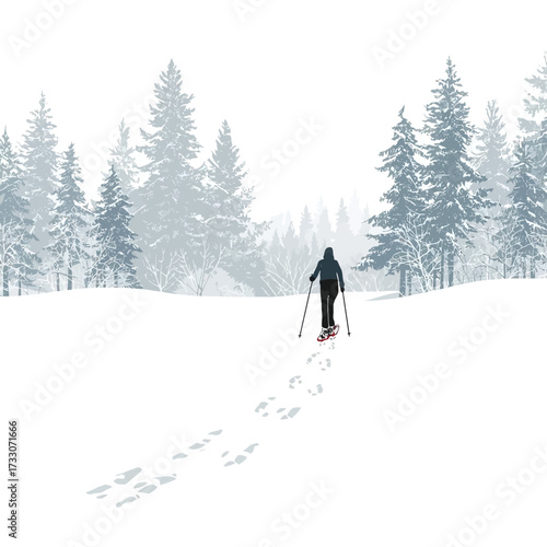 Snowshoeing in a winter landscape with snow-covered trees and footprints.