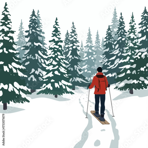 Person snowshoeing through a snowy forest with tall evergreen trees.