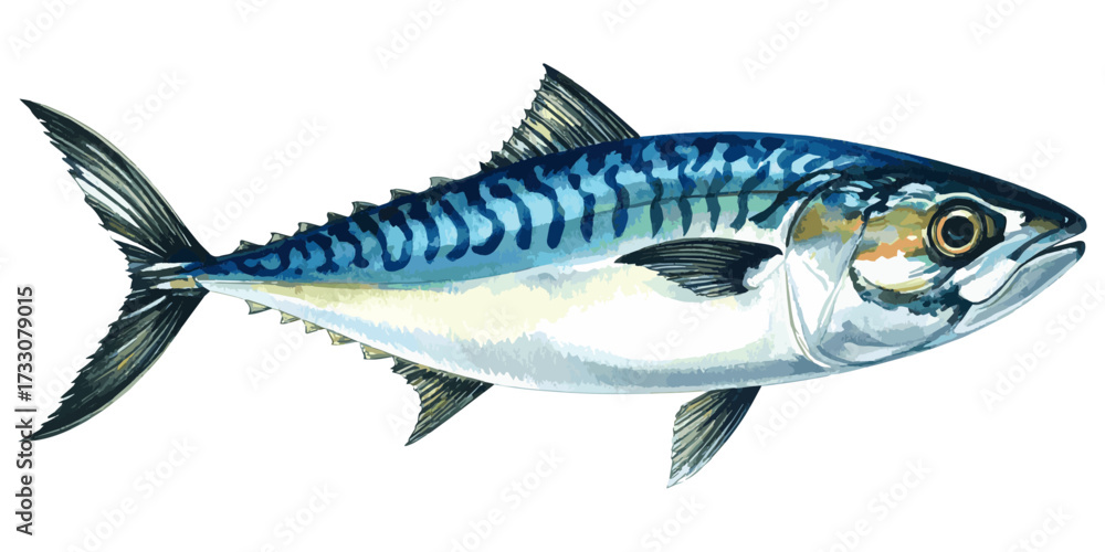 Obraz premium Watercolor Illustration of Fresh Mackerel Fish