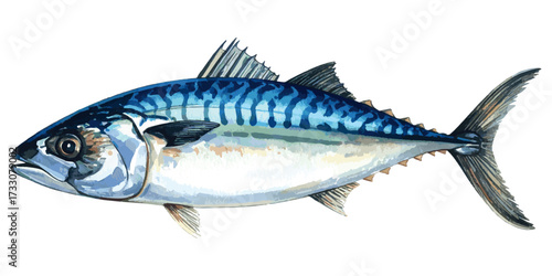 Watercolor Illustration of Fresh Mackerel Fish