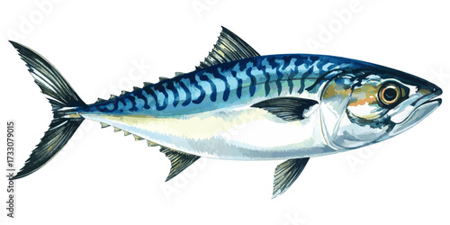 Watercolor Illustration of Fresh Mackerel Fish