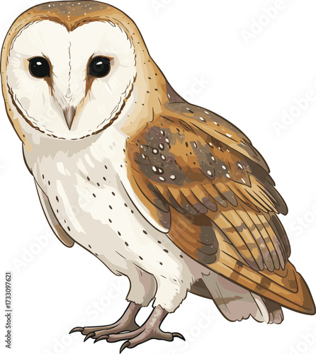 Barn owl vector illustration, detailed stylized bird artwork, wildlife design, nocturnal animal drawing, nature concept, feather texture, artistic graphic, decorative