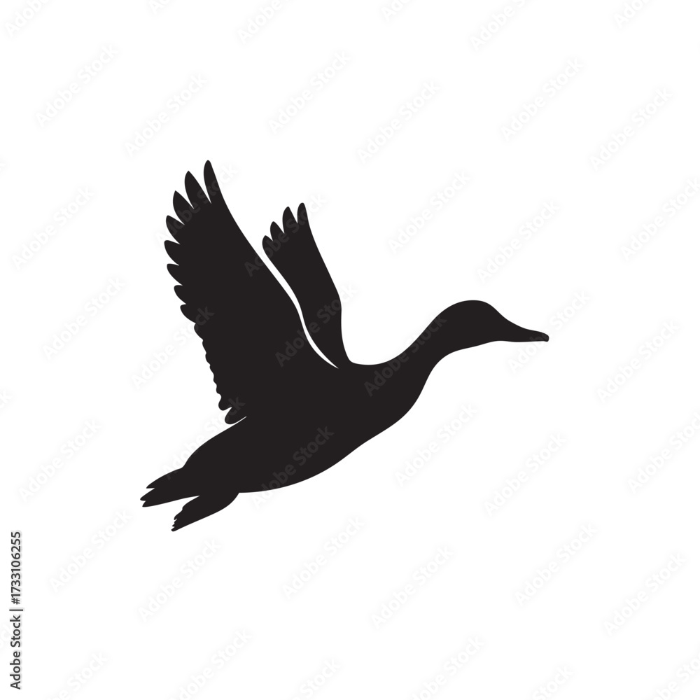 Fototapeta premium Silhouette of a mallard duck in flight, a common wild bird in its natural environment, beautifully rendered as a vector graphic