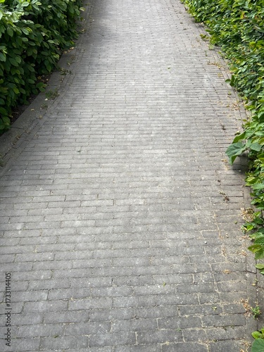 Stone paver path
