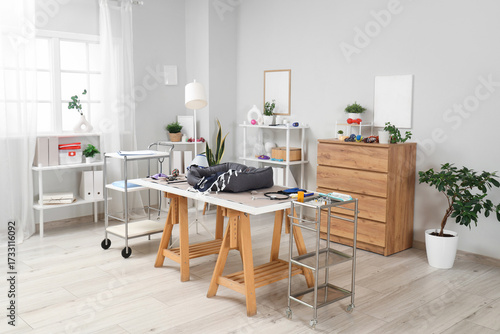 Interior of vet clinic with...