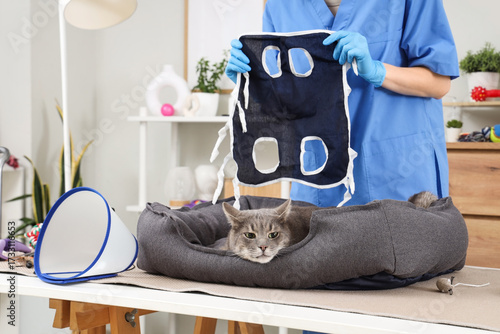 Female veterinarian with re...