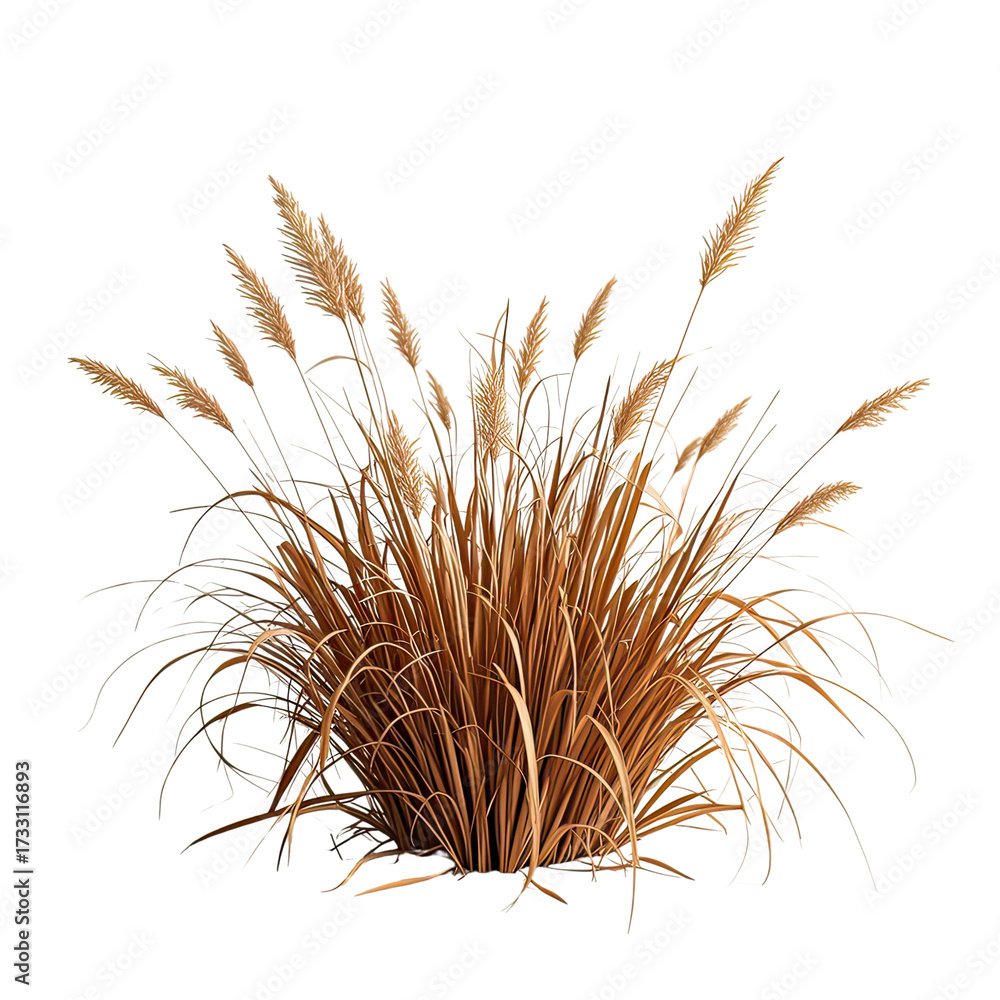 Obraz premium Natural Dried Pampas Grass Bush, Generative AI