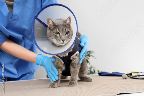 Female veterinarian and cat with Elizabethan collar after sterilization in vet clinic