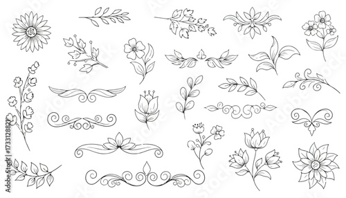 Hand Drawn Collection of Floral Elements and Ornaments.