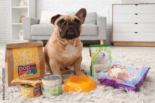 Cute French bulldog with pe...