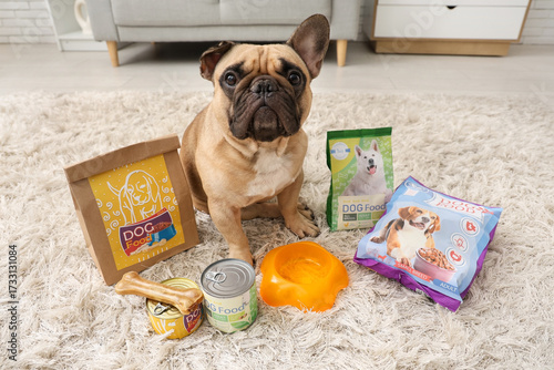 Cute French bulldog with pe...