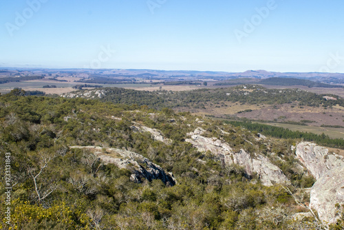 Rocas y vegetación