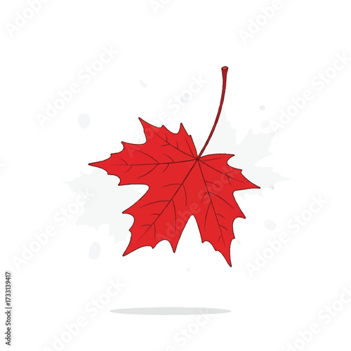 A vibrant red maple leaf with a long stem against a clean white background with subtle leaf shadows.
