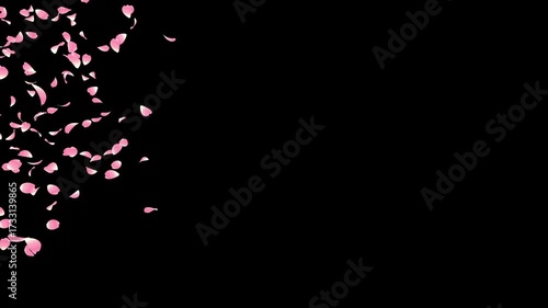 桜の花びらが舞うアニメーション（Falling Cherry Blossom Petals Animation with Alpha Mask）