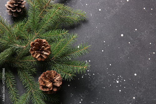 Pine cones and fir branches...