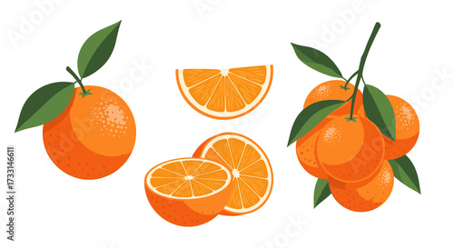 Juicy ripe oranges with green leaves and slices isolated on a white background.