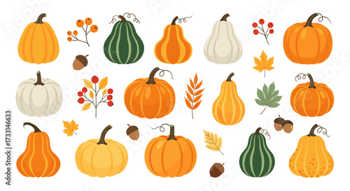 A collection of autumn gourds and pumpkins in various shapes and colors.