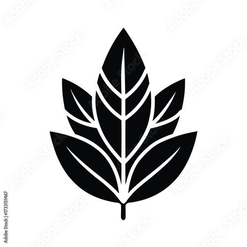 Sage Leaf Cluster Icon Vector Illustration