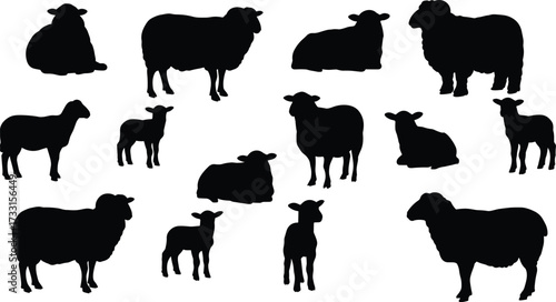 Sheep and lamb silhouettes collection, farm animal vector, livestock illustration, rural agriculture design, domestic wool mammal artwork, countryside farming graphics