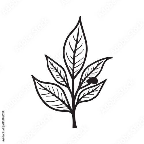 Elegant Coffee Plant Icon Inside Ornamental Box Frame