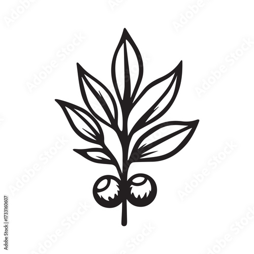 Coffee Plant Mandala Logo with Symmetrical Botanical Arrangement