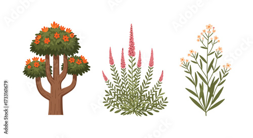 A charming collection of three distinct flowering trees and shrubs in a variety of styles and colors.