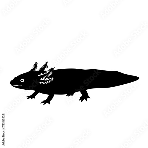 Black silhouette of axolotl amphibian isolated on white background. Rare aquatic salamander illustration, symbol of exotic pet, endangered species, biology, science, and wildlife design
