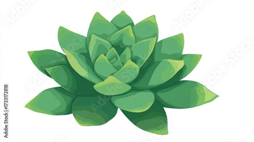 Wallpaper Mural Illustration of a green succulent plant with thick, pointed leaves arranged in a rosette pattern. Torontodigital.ca