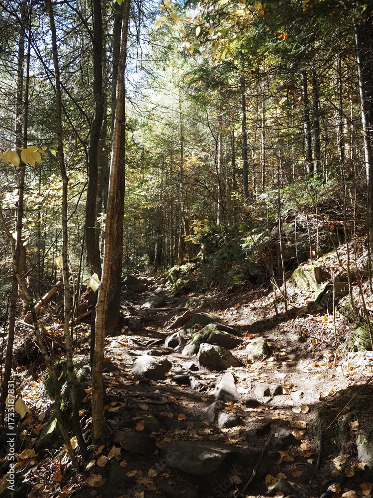 Obraz premium Rocky hiking trail through autumn forest in Sept-Chutes Regional Park
