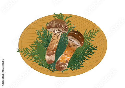 松茸 ヒノキ葉 ざる 秋 イラスト ベクター