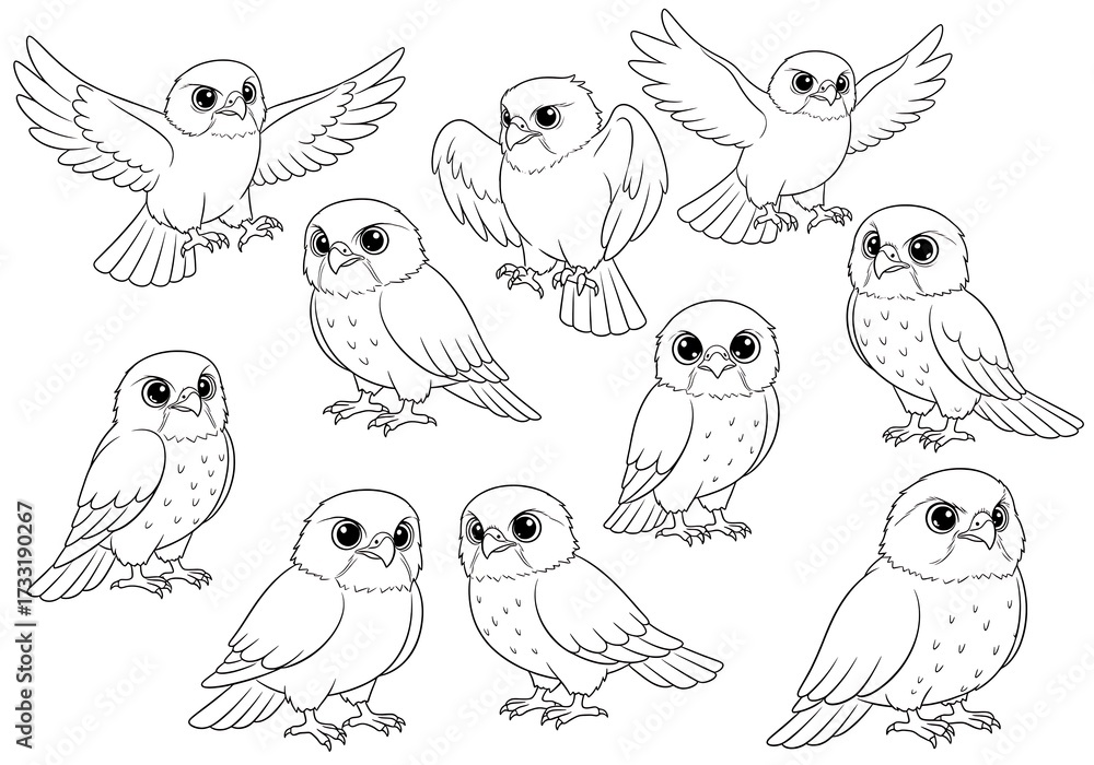 Obraz premium A collection of outlined charming baby falcon characters for coloring pages