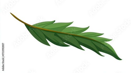 Wallpaper Mural A single green leaf with serrated edges, attached to a thin stem, isolated on a white background. Torontodigital.ca