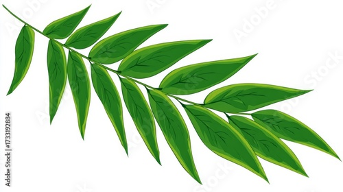 Wallpaper Mural Illustration of a branch with many green leaves on a white background. Torontodigital.ca