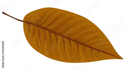 Wallpaper Mural A single, detailed illustration of a dry, brown leaf with prominent veins and a slender stem, isolated on a white background. Torontodigital.ca