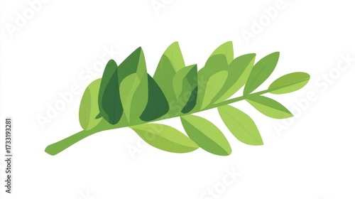 Wallpaper Mural Illustration of a leafy green branch with multiple leaves on a white background. Torontodigital.ca