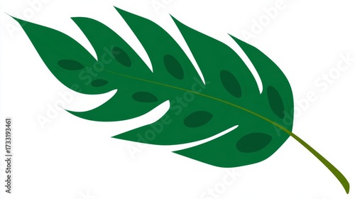 Wallpaper Mural Green tropical leaf with holes and a stem, isolated on a white background, botanical illustration. Torontodigital.ca