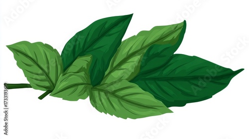 Wallpaper Mural A cluster of vibrant green leaves on a stem, suggesting freshness and nature. Torontodigital.ca
