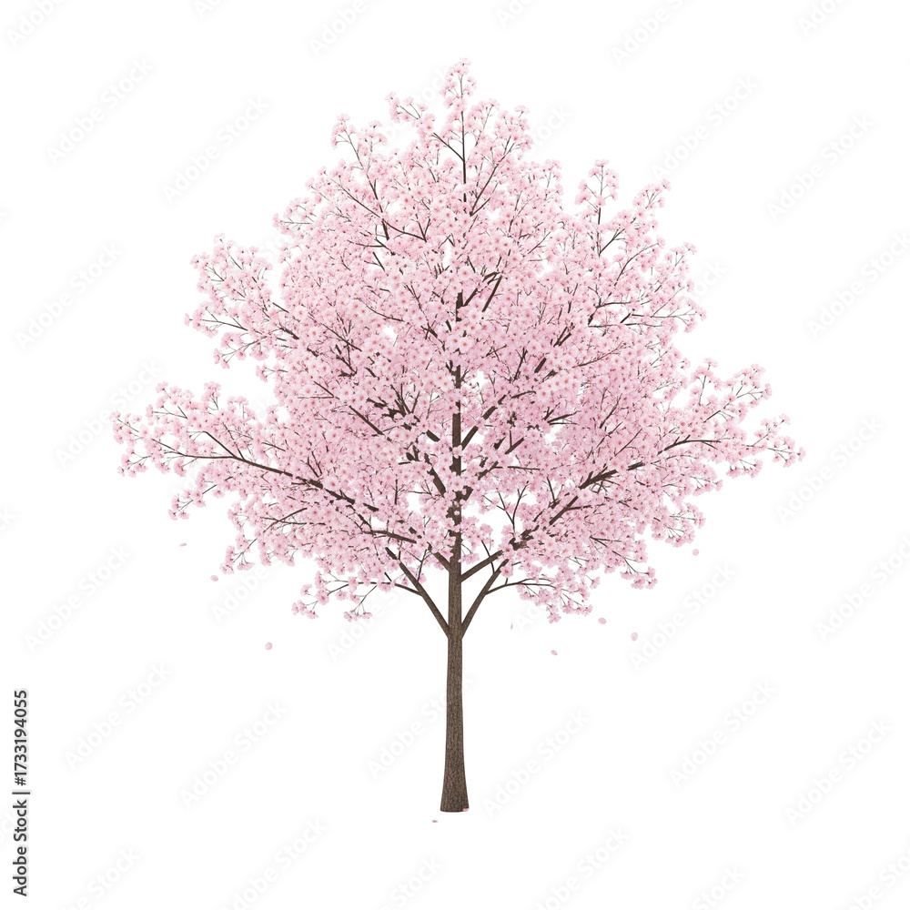Obraz premium pink cherry blossom