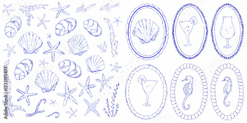 Collection of hand drawn blue watercolor illustrations of seashells starfish seahorses cocktails and coral elements