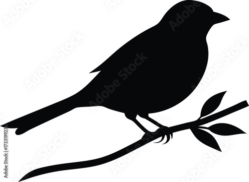 bird on a branch forest perch silhouette vector, songbird rest icon illustration
