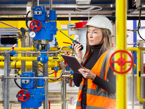 Engineer woman in hard hat ...