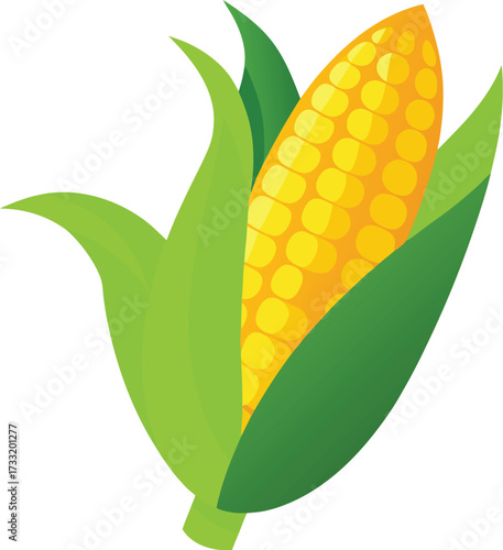 Fresh corn cob illustration with green leaves