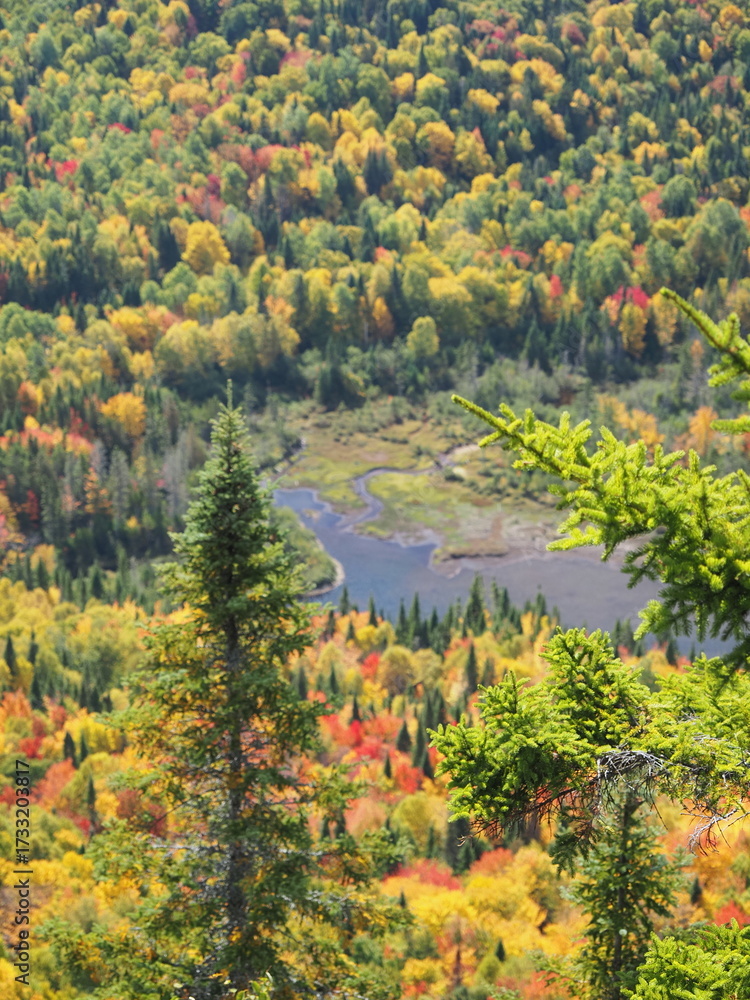 Obraz premium Autumn forest valley with river in Sept-Chutes Regional Park, Quebec