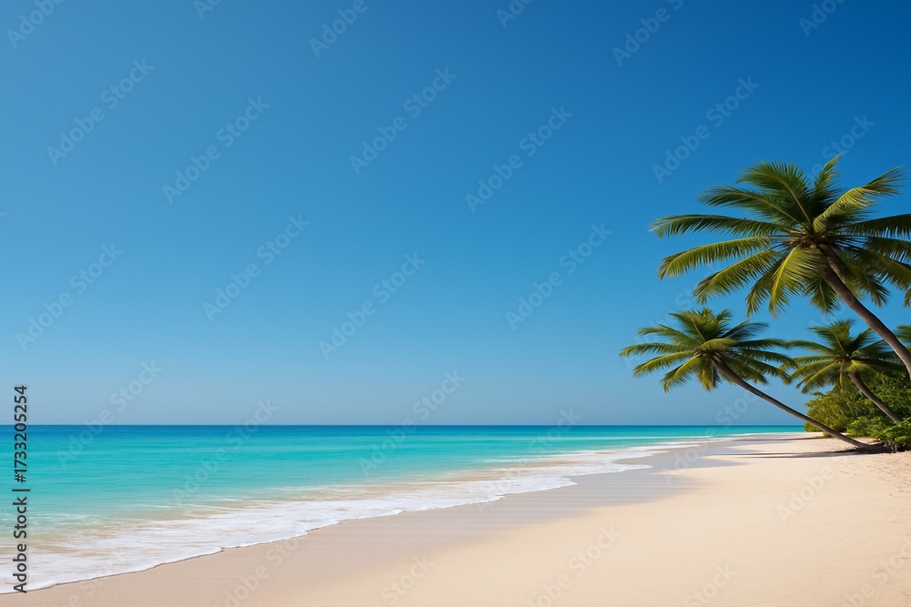Fototapeta premium palm tree on the beach