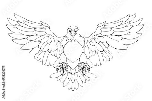 Majestic predatory bird with powerful spread wings, detailed black and white line art illustration, an outline drawing of a raptor.