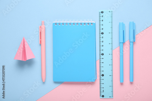 Pink paper airplane, blue n...