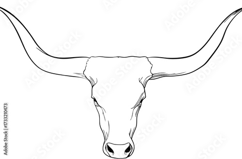 Minimalist line art illustration of a bull's head with prominent, curved horns. Western cattle drawing, black and white vector graphic.