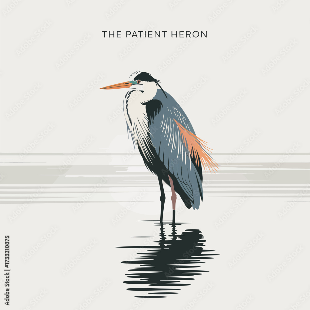 Obraz premium Elegant heron standing in water, minimalist wildlife poster, calm nature scene, coastal wetland bird illustration, vector